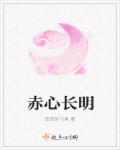 赤心赤胆是什么意思