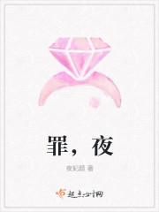 罪夜寻踪