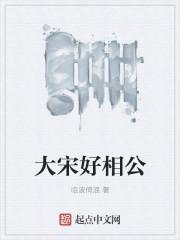 大宋少年志王相公