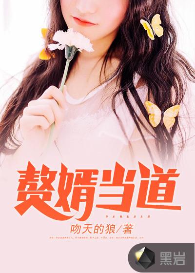 上门赘婿李洁