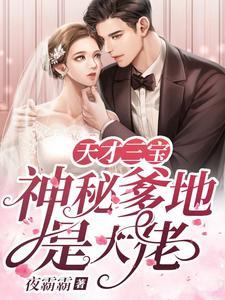 天才宝宝神秘爹地风千雪