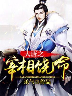 大唐之少年宰相西瓜大神