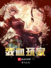 残血玩家无错版
