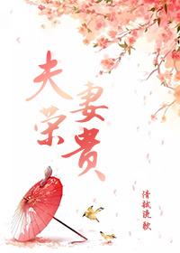 夫荣妻贵短剧全集免费观看