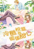 很甜很撩的校园宠文