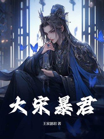 大宋暴君赵构免费