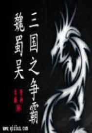 三国之争霸中原