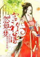 忽如一梦宫衫薄穿越女的下场