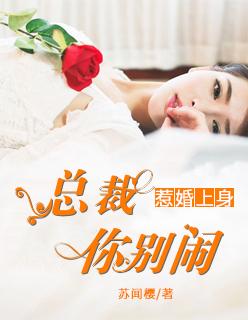 惹婚上身:总裁,你别闹
