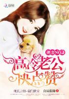 萌妻NO.1:高冷老公快点赞