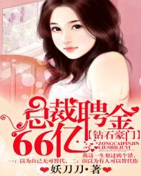 金钻豪门:总裁聘金66亿