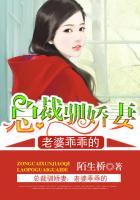 总裁驯娇妻:老婆乖乖的