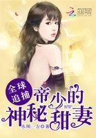 全球追捕:帝少的神秘甜妻