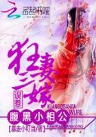 狂妻三嫁:误惹腹黑小相公